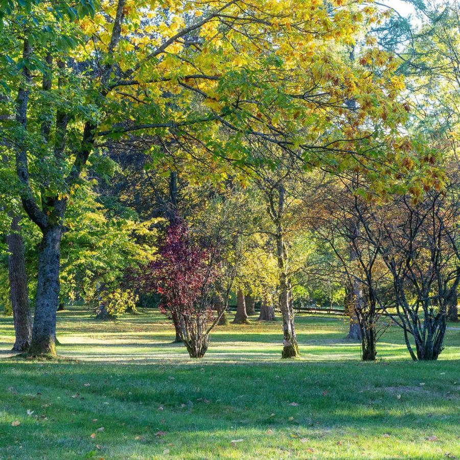 Ferienwohnung "Am Kurpark" Sankt Andreasberg Dış mekan fotoğraf